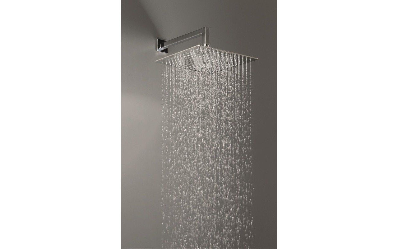 Spring SQ-600 Top-Mounted Shower Head picture № 0