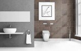 Dream F Floor Mounted Toilet (5 1) 2 (web)
