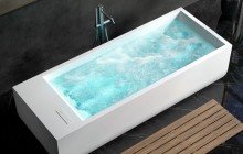Double Ended Bathtubs picture № 1